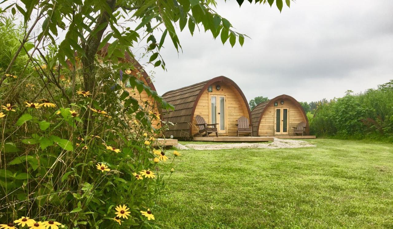 Long Point Eco-Adventures Normandale Exterior photo